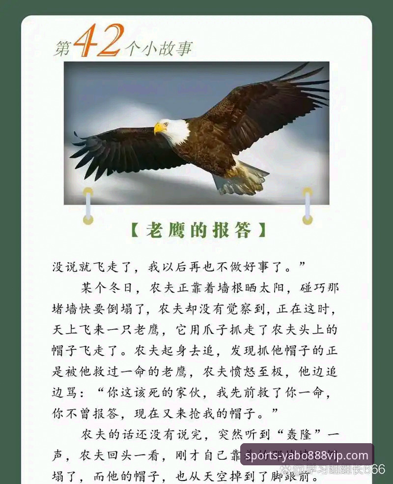 资深体育迷亲历：麦科勒姆续约老鹰的幕后分析与平台实战心得